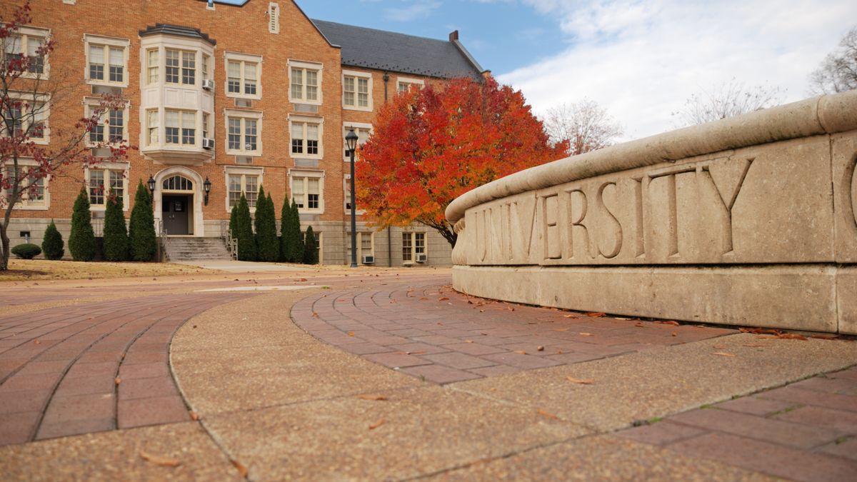 A stone sign spells out "university" in front of a tree.